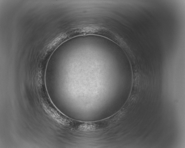 X0000086110354200703231507
