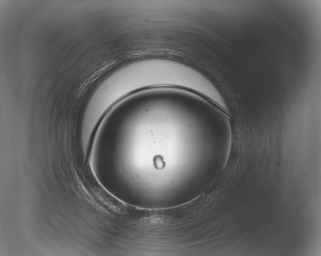 X0000086110356200703231507