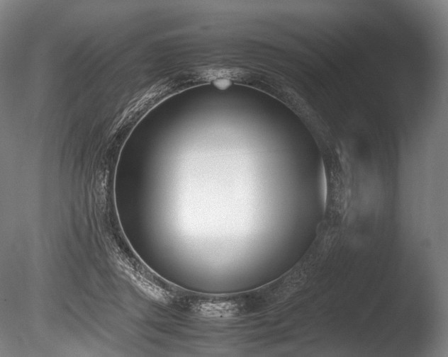 X0000086110357200703231507