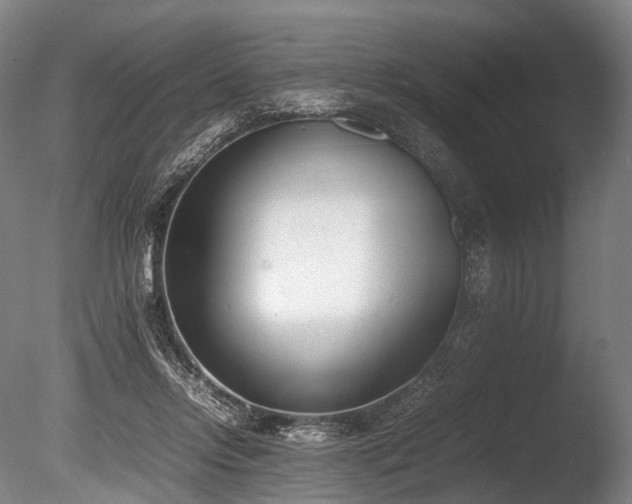 X0000086110358200703231507