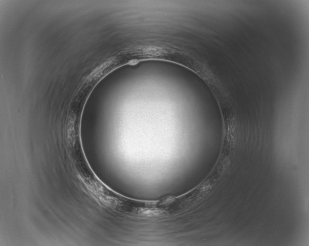 X0000086110360200703231507