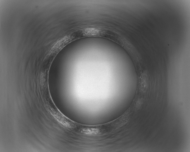 X0000086110361200703231507
