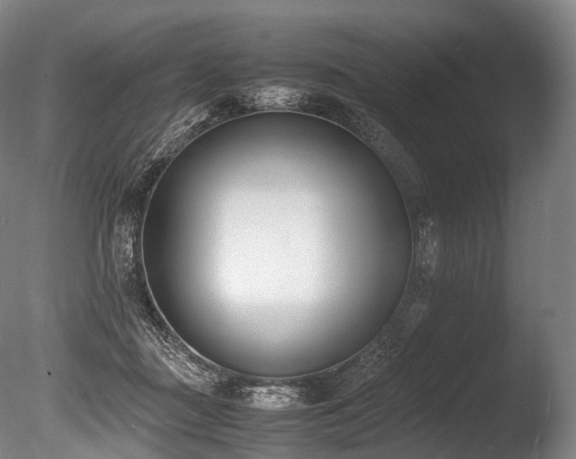 X0000086110363200703231507