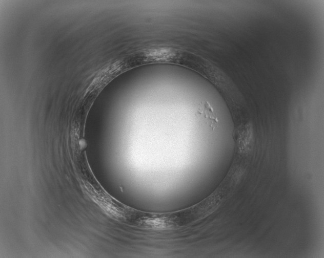 X0000086110365200703231507