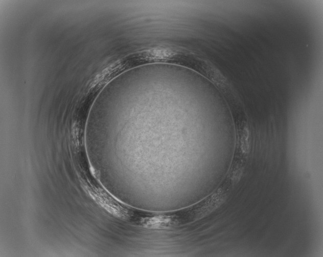 X0000086110366200703231507