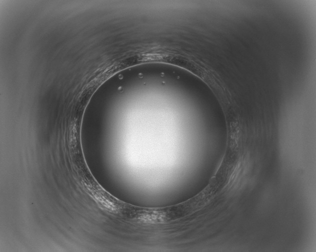 X0000086110369200703231507