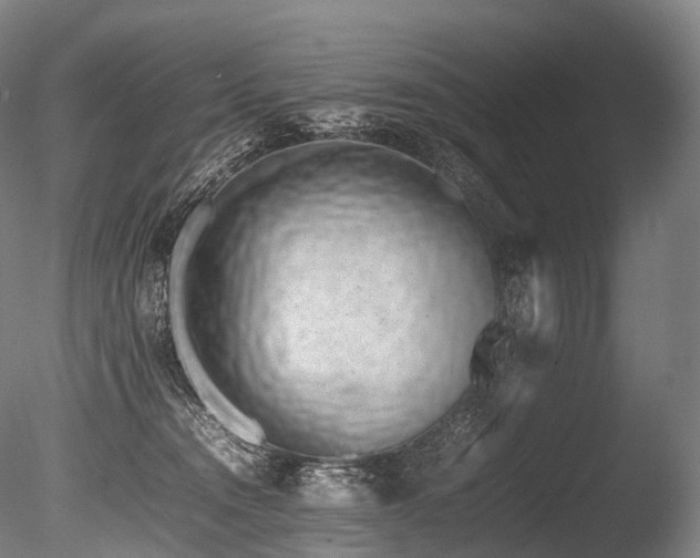 X0000086110372200703231507