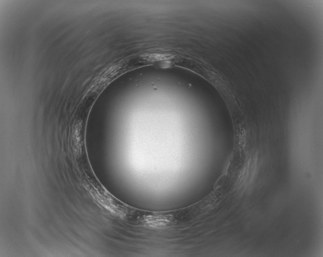 X0000086110373200703231508