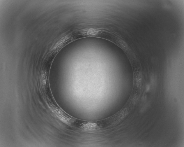 X0000086110374200703231508