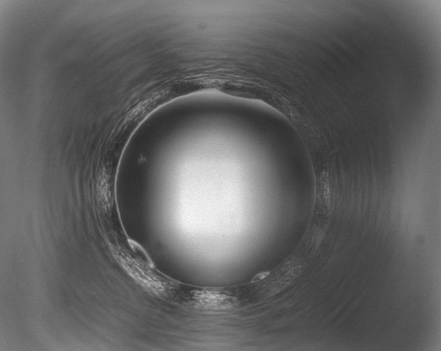 X0000086110380200703231508