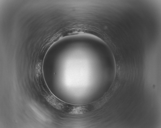 X0000086110382200703231508