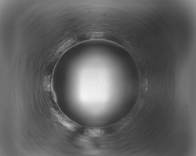 X0000086110383200703231508