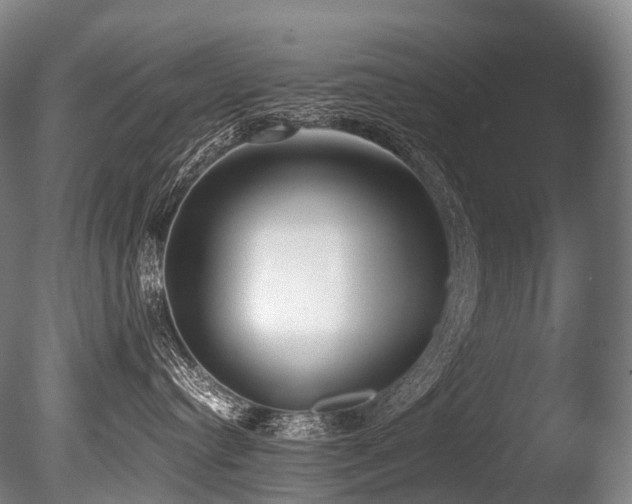 X0000086110384200703231508