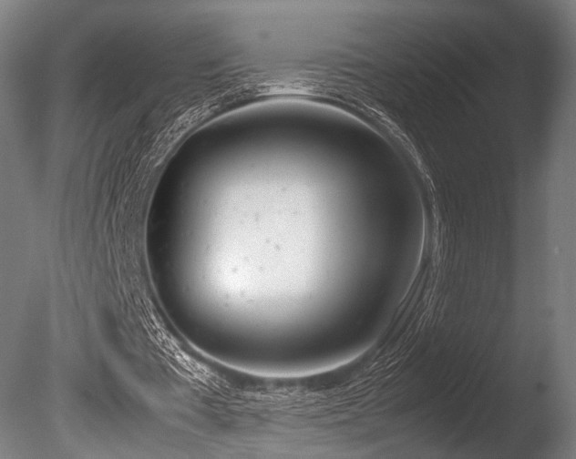 X0000086110385200703231507
