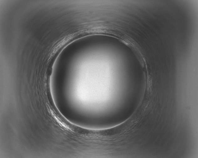 X0000086110389200703231507