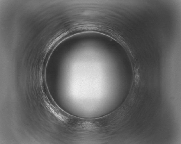 X0000086110390200703231507