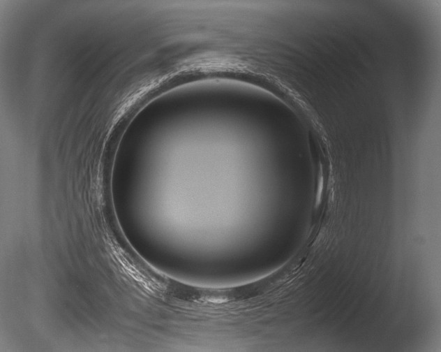X0000086110391200703231507