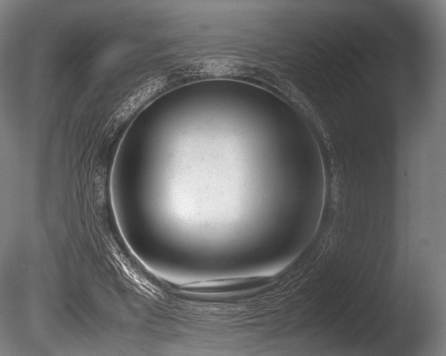 X0000086110393200703231507