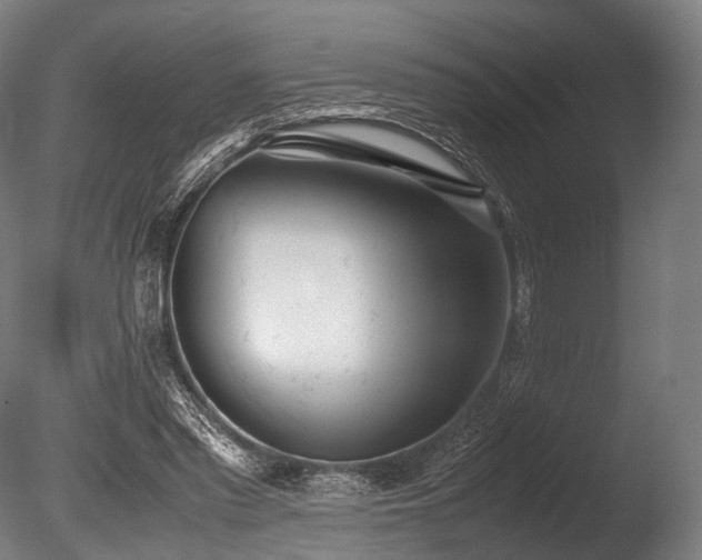 X0000086110397200703231507