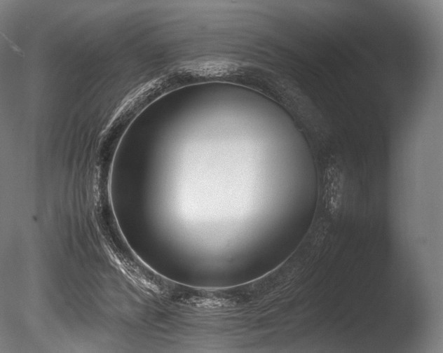 X0000086110400200703231507
