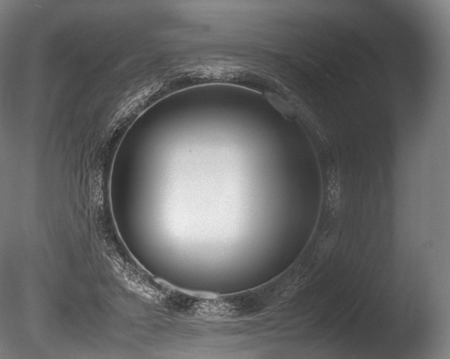 X0000086110403200703231507