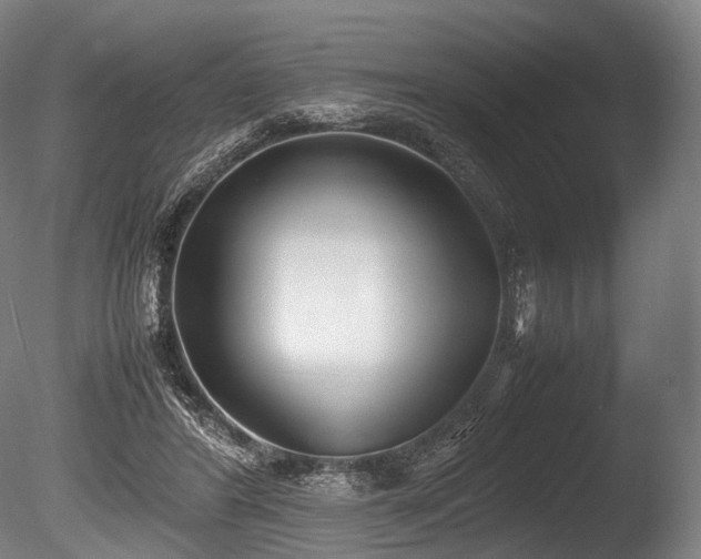 X0000086110404200703231507