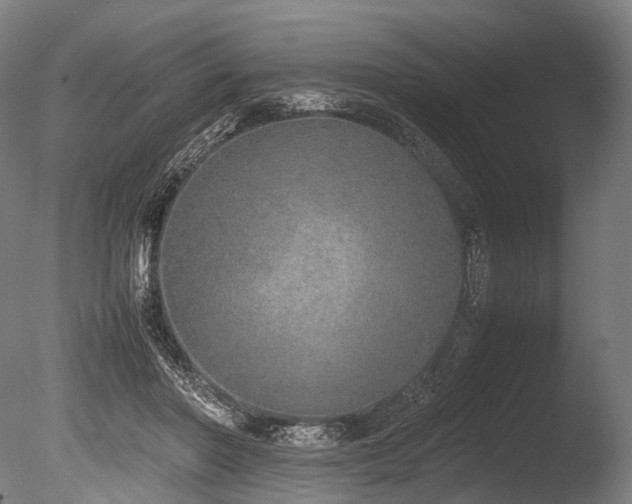 X0000086110406200703231507