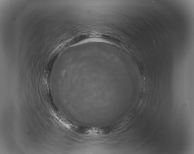 X0000086110415200703231506