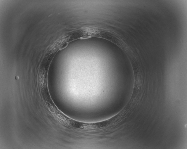 X0000086110417200703231506