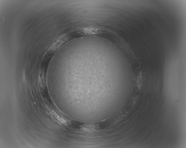 X0000086110418200703231506