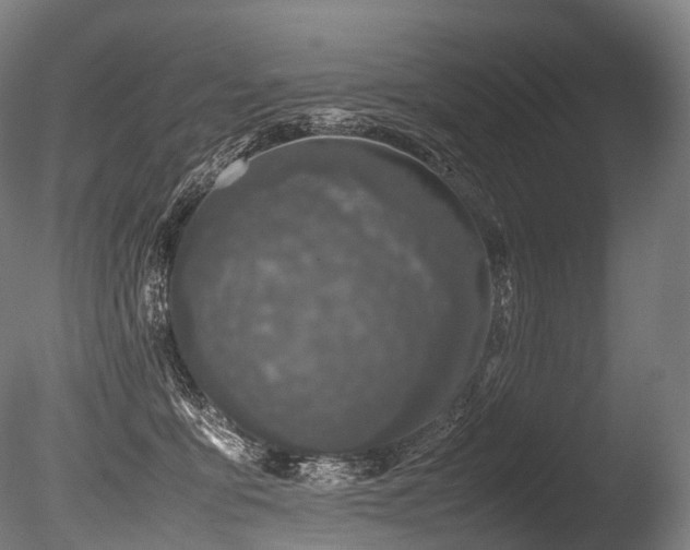 X0000086110419200703231506