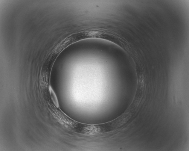 X0000086110421200703231506