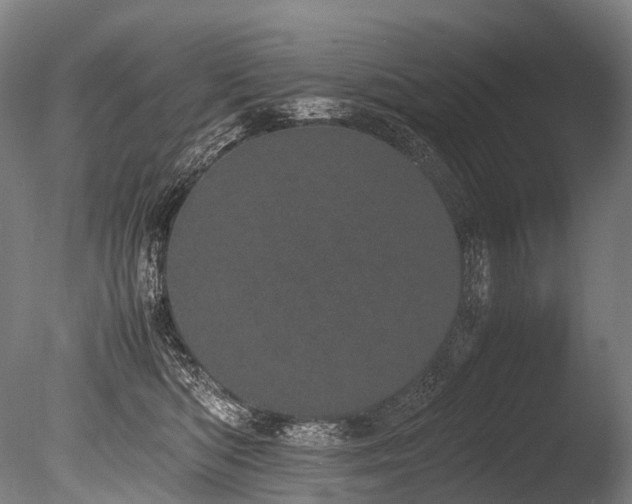 X0000086110422200703231506