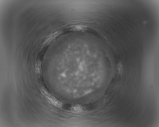 X0000086110423200703231506