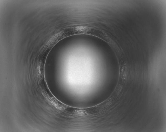 X0000086110424200703231506