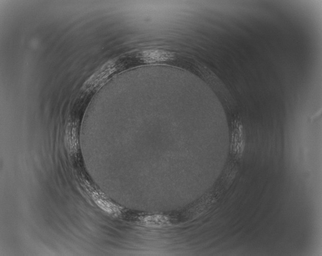 X0000086110426200703231506