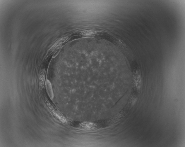 X0000086110427200703231506