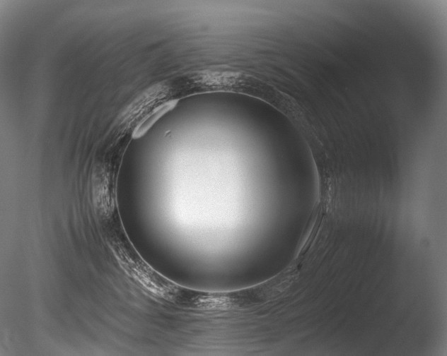 X0000086110428200703231506