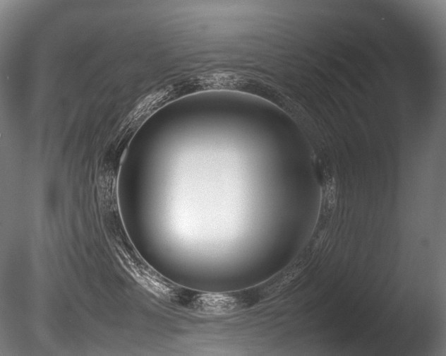X0000086110429200703231506