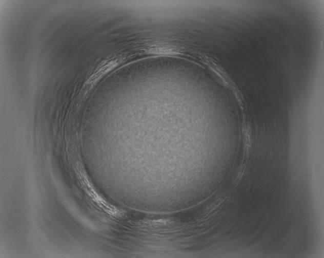 X0000086110433200703231505