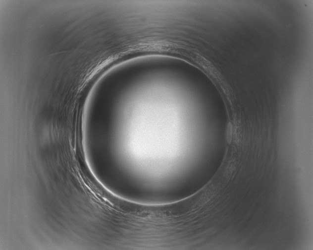 X0000086110434200703231505