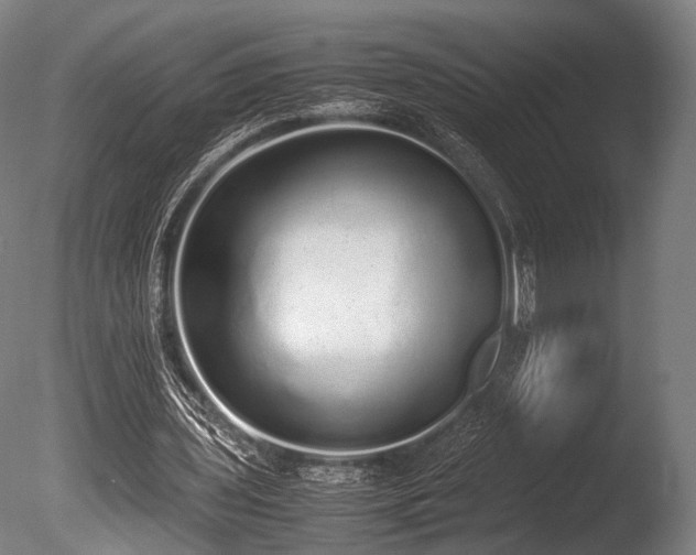X0000086110435200703231505
