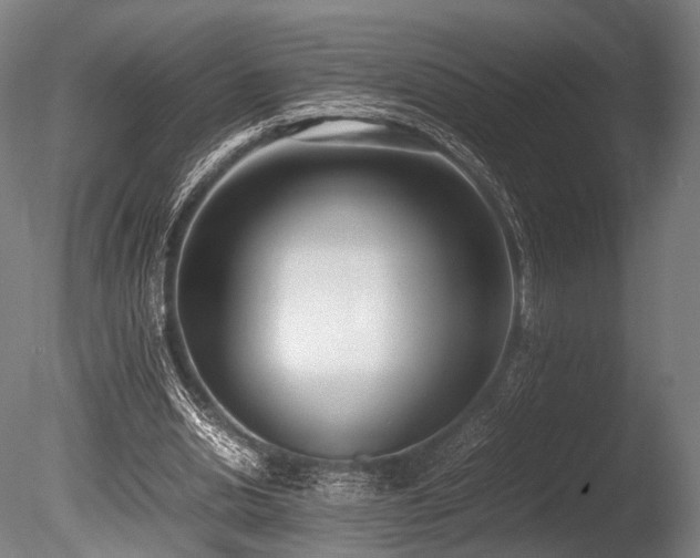 X0000086110438200703231505