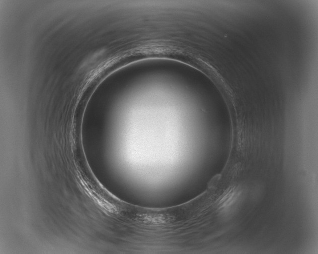 X0000086110439200703231505