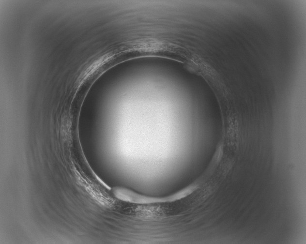X0000086110440200703231505