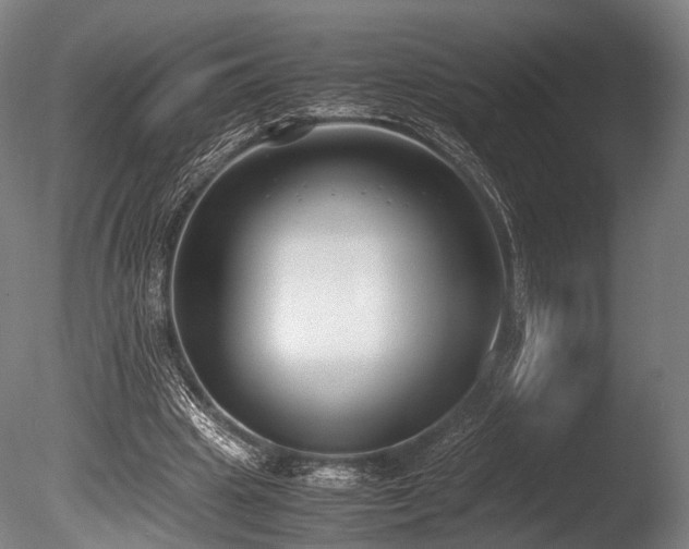 X0000086110441200703231505