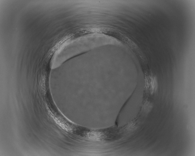 X0000086110444200703231505