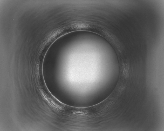 X0000086110447200703231505