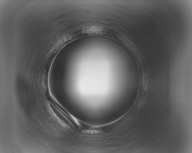 X0000086110449200703231506