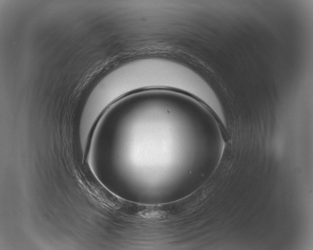 X0000086110452200703231506